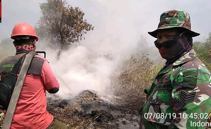 Ratusan Titik Panas Tersebar di Sumatera, Riau Masih Tinggi, Hari Ini Ada Peluang Hujan