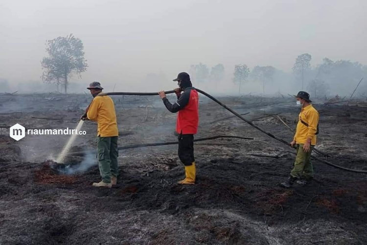Polisi Tetapkan 5 Tersangka Karhutla Riau