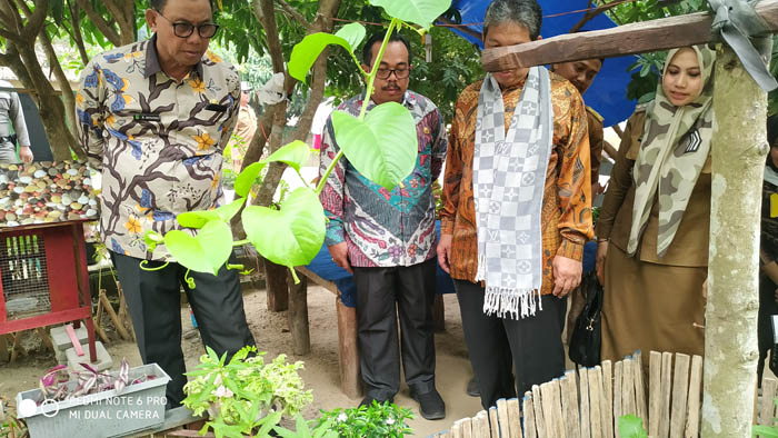 Kembali Raih Penghargaan Proklim Skala Nasional, Rohil Percontohan Bagi Riau