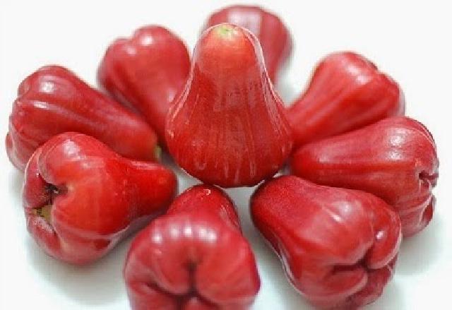 5 Keuntungan Gemar Makan Buah Jambu Air Untuk Kesehatan