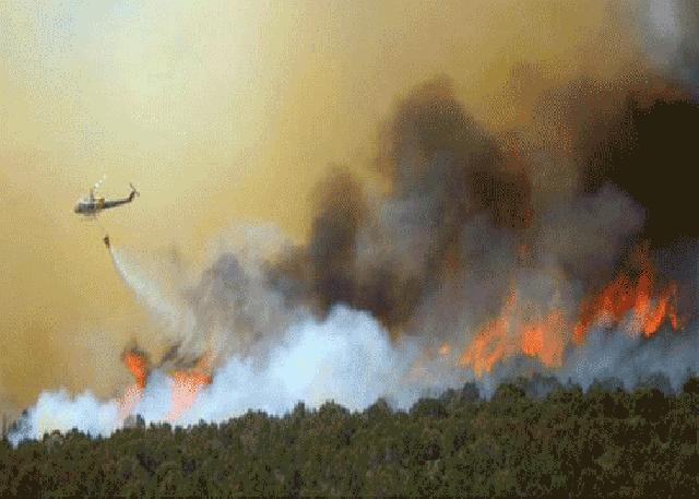 400 Hektare Lahan Terbakar
