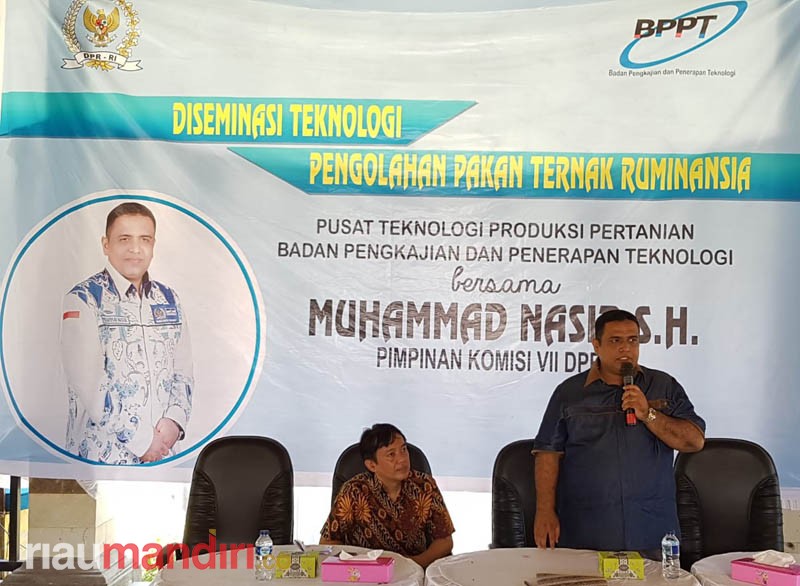 Anggota DPR RI M Nasir: Kampar Sangat Potensial Jadi Pusat Ternak Sapi di Riau 