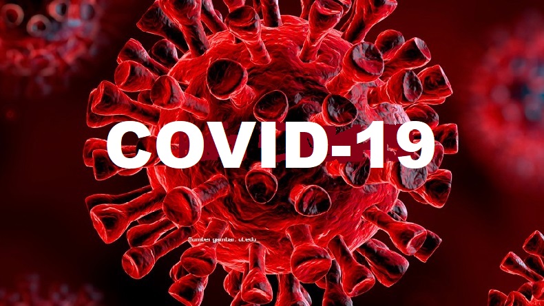 Penambahan Kasus Covid-19 Telah Melebihi Puncak Gelombang Pertama
