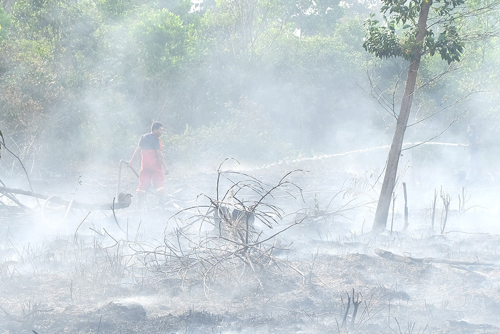 Dugaan Membakar Lahan, Seorang Guru di Rohil Ditangkap Polisi