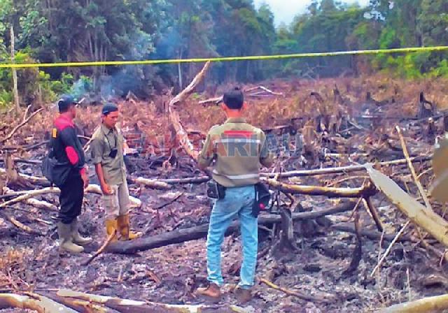 Polsek Tangkap Tersangka Pembakar Hutan