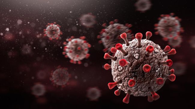 Pemerintah Takkan Biayai Lagi Perawatan Pasien Covid-19 Legislator: Jangan Tambah Beban Rakyat