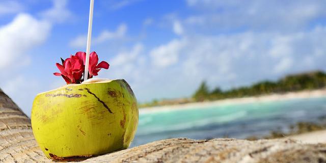 Inilah Manfaat Dahsyat Air Kelapa Bagi Kesehatan Tubuh