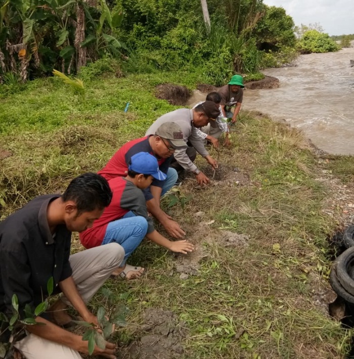 Selamatkan Daerah Pulau dari Abrasi, 1.000 Bibit Mangrove Ditanam di Desa Mekong