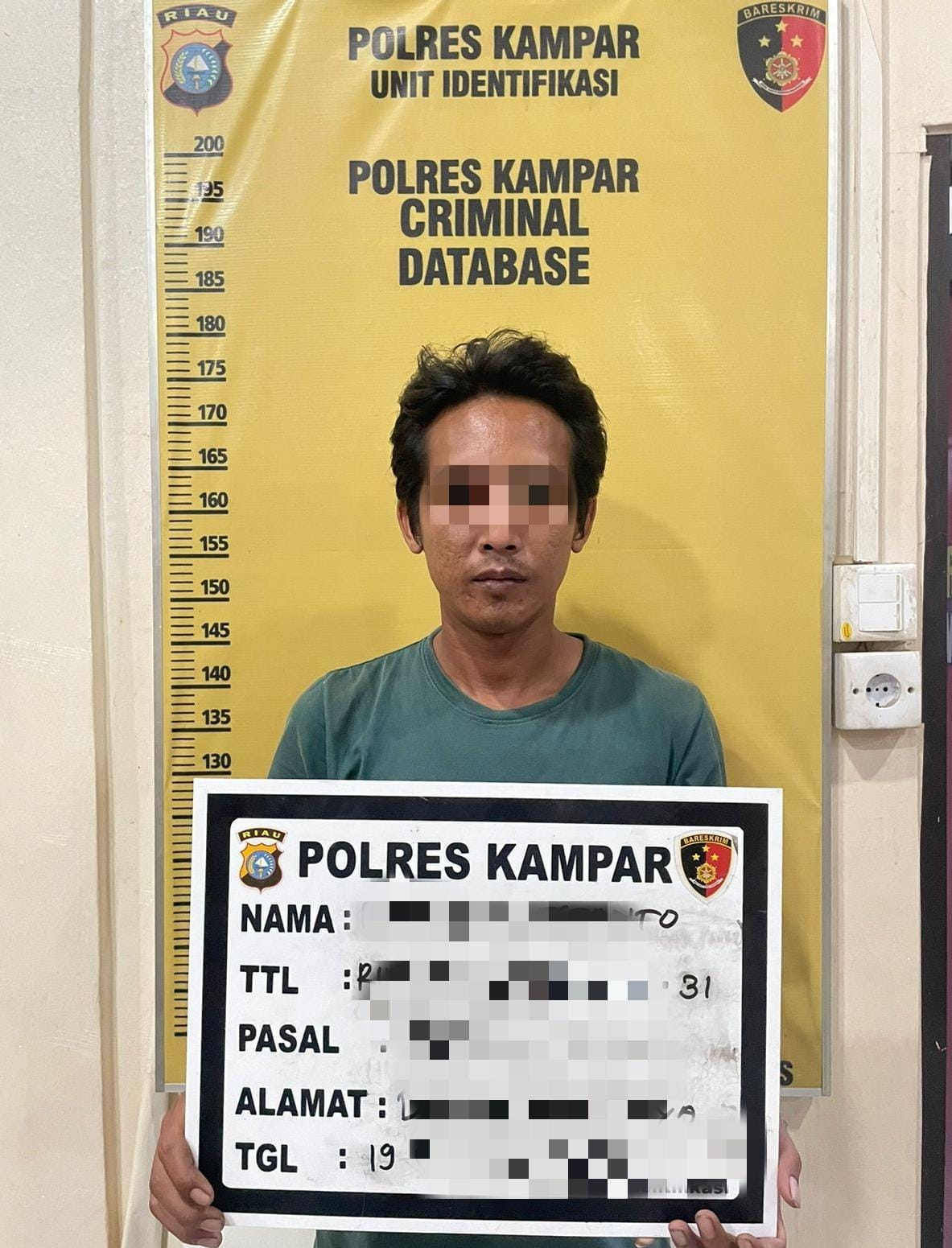 Pria di Kampar Diringkus Polisi Gegara Gelapkan Puluhan Ekor Sapi