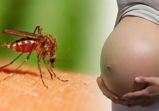 Ada 41 Kasus Virus Zika Yang Menular Secara Lokal di Singapura