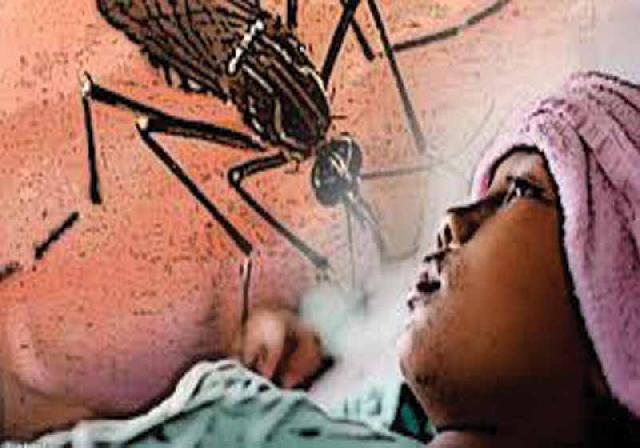 Penderita DBD Capai 21 Orang