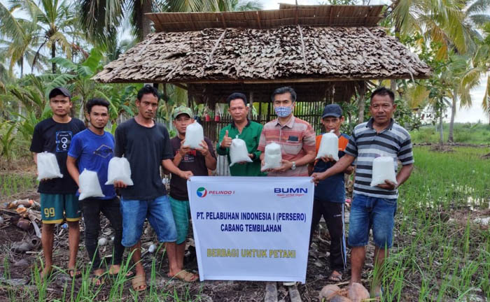 Pelindo Tembilahan Serahkan Bantuan 150 Kg Pupuk untuk Kelompok Tani