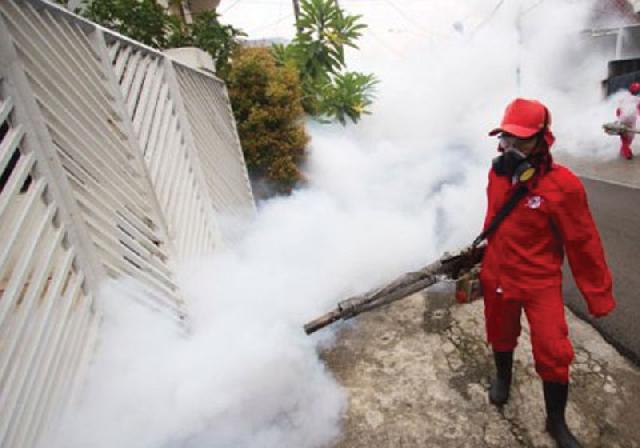 Fogging Bukan Solusi Membunuh Nyamuk DBD