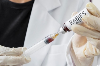 Pemprov Gelar Vaksin Rabies Gratis 7 Oktober 2023