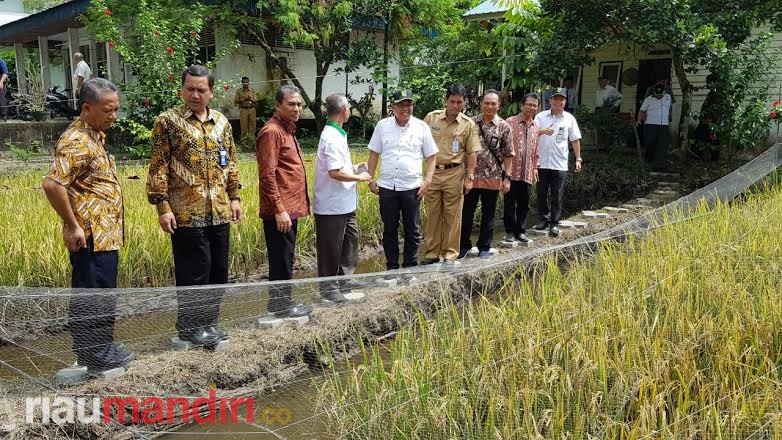 LIPI Tinjau Labor Fakultas Teknik dan Balai Benih Faperta UIR