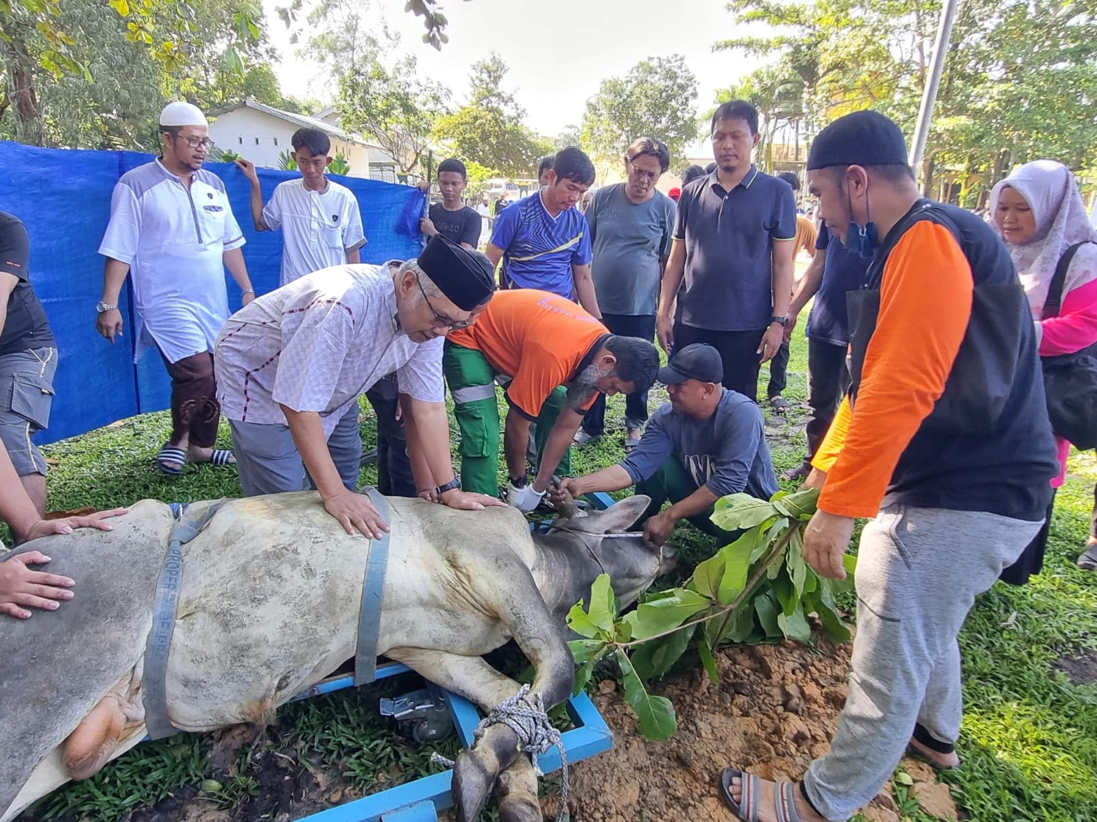 Idul Adha 1444 H, Karyawan RAPP Potong 150 Hewan Kurban