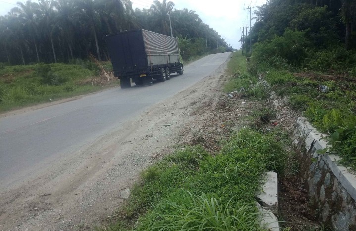 Simpang Lago Pelalawan  Siak akan di Aspal Ulang