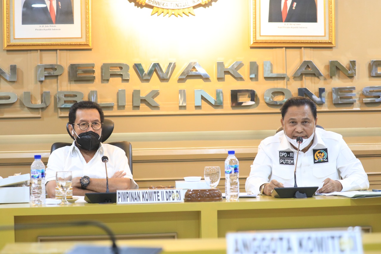 Komite II DPD RI Apresiasi Kinerja Kementerian LHK Tahun 2021