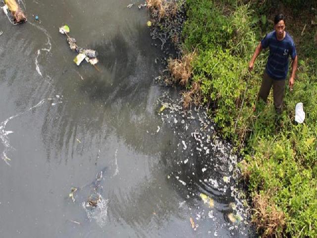 Pemerintah Diminta Cabut Izin Operasi PT KUS