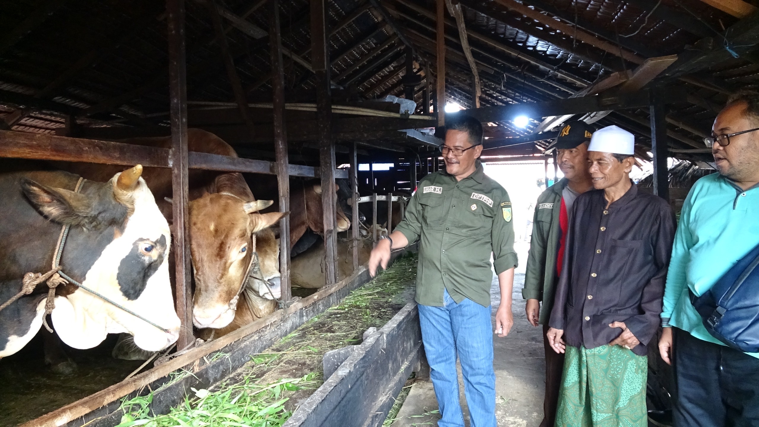 Pemkab Inhil Periksa Hewan Kurban