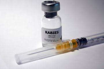 Sudah Ada Terindikasi Rabies, Pemko Pekanbaru Sediakan Vaksin Anti Rabies Gratis