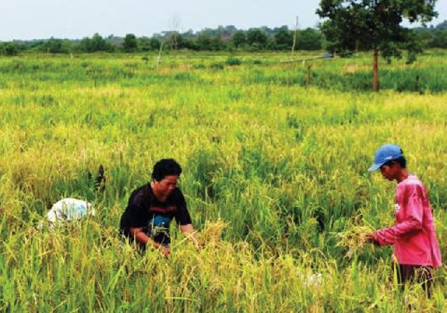 DPD LMB Buka Usaha bagi Petani dan Usaha Pengamanan