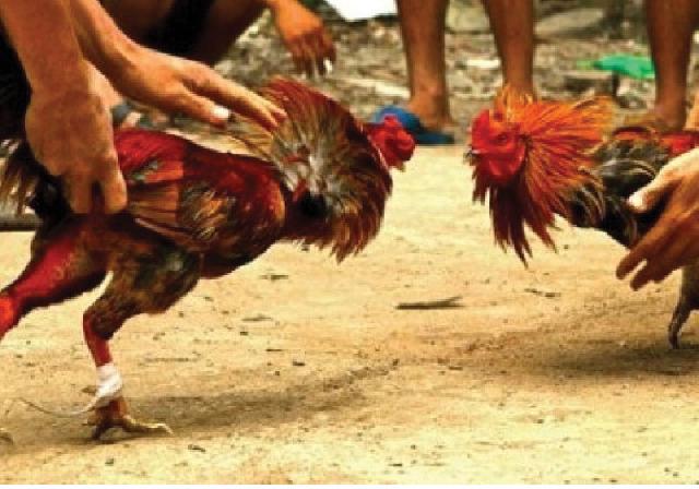 Polisi Tetapkan  Satu Tersangka