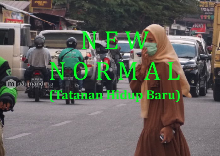 Ogah Pakai Istilah New Normal dari Jokowi, Bupati Bintan Gunakan Ini