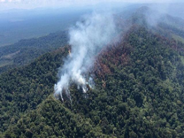 Karhutla di Bukit Suligi Meluas