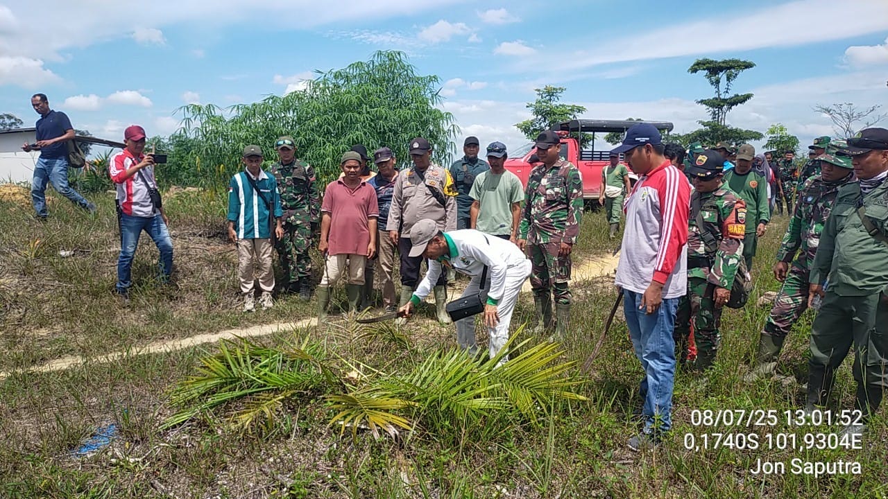 10 Hektar Lahan Sawit di Lubuk Kembang Bunga Dimusnahkan