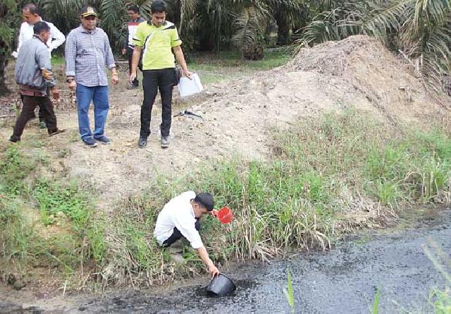 DLH Dituding Lakukan Pembiaran Terhadap Pencemaran PT SJI Nusa Coy