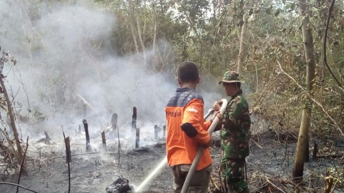 Pasukan Satgas Karhutla Riau Ditambah Jadi 6.000 Lebih
