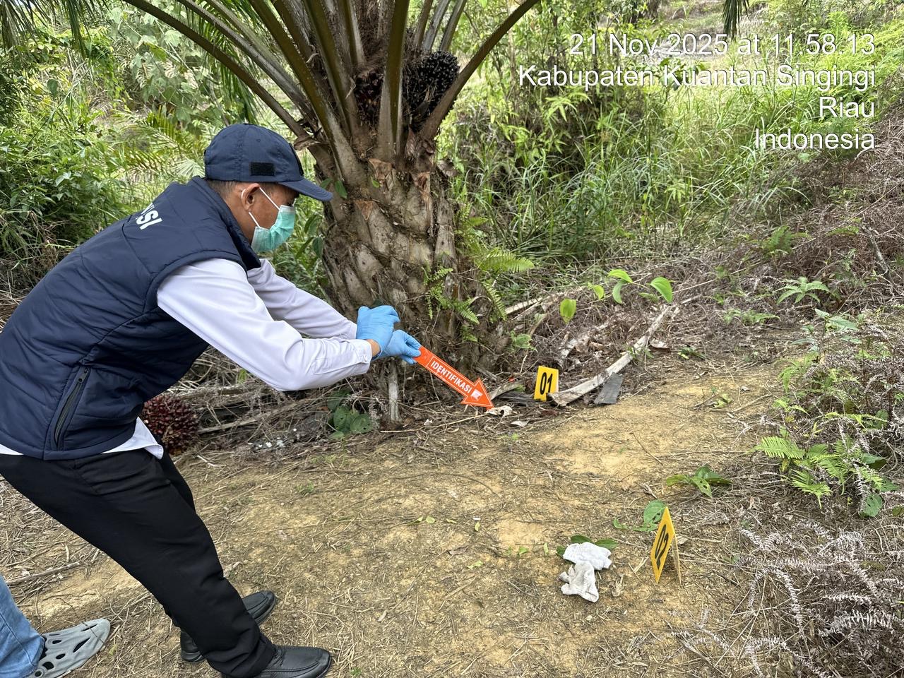 Jasad Pria Ditemukan di Kebun Sawit di Desa Air Buluh