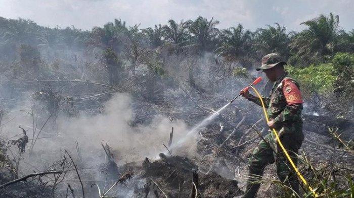 Padamkan Kebakaran Hutan, KSAD: Semua Prajurit TNI Sudah Maksimal