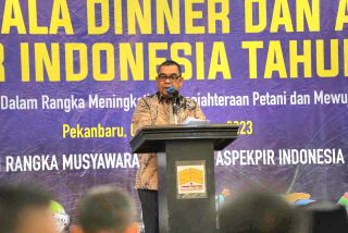 Riau Catatkan Realisasi Peremajaan Sawit Rakyat Tertinggi se-Indonesia