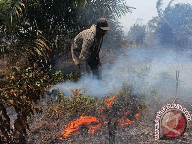 Akibat Musim Kemarau, Tiga Hektare Lahan Terbakar