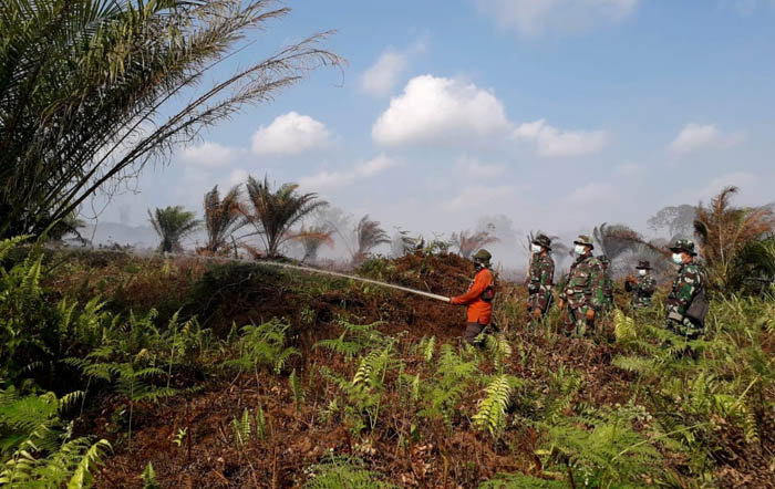 Belum Padam, Kebakaran Lahan di Riau Makin Meluas 