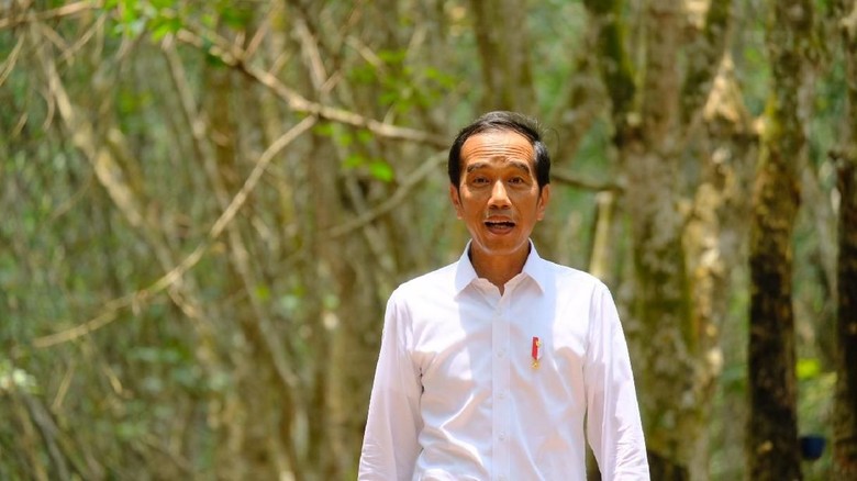 Jokowi Tak Rela Ada Golongan Putih