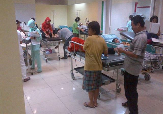 Minggu Keempat 2017, 39 Warga Pekanbaru Terserang DBD