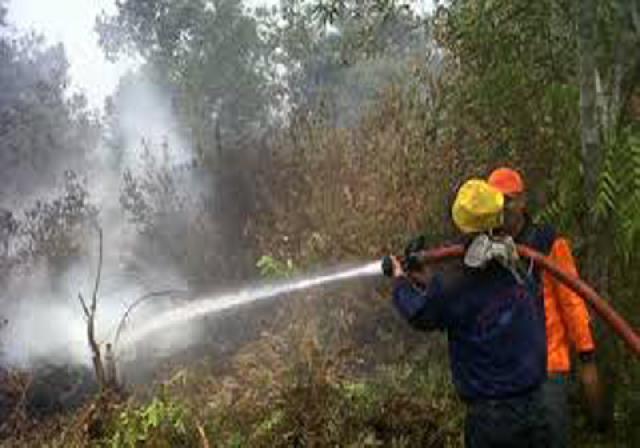 Dishut Mengaku Kekurangan Personil Atasi Karlahut