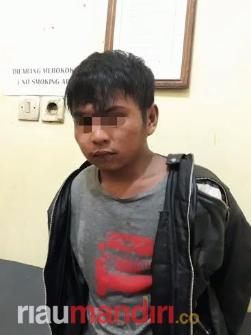 Pelaku Pembunuhan IRT di Inhu Ditangkap Polisi, Ini Motifnya