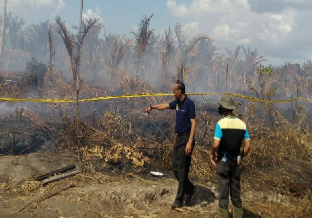 Sanksi Tegas Intai Pelaku Karhutla