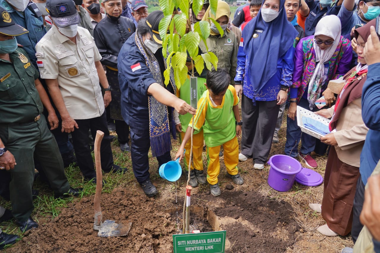 Cegah Abrasi, Gubri dan Menteri LHK Tanam Pohon di Tepian DAS Indragiri
