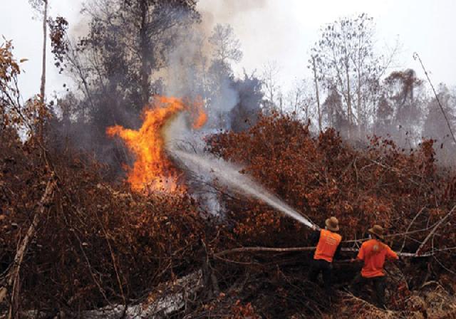 Tahun Lalu Kerugian Mencapai Rp221 Triliun