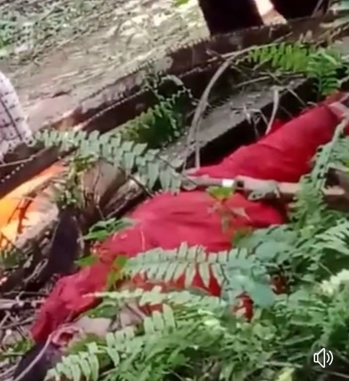 Warga Heboh, Sesosok Mayat Pria Penuh Luka Senjata Tajam Ditemukan di Pelalawan