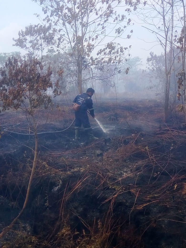 Dua Lokasi Terbakar di Meranti, Tim Gabungan Masih Berjibaku Padamkan Api