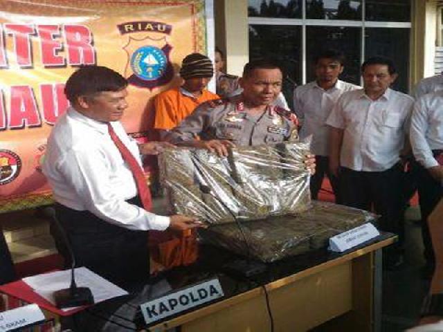 Polda Tangkap Pemilik 20 Kg Ganja Asal Aceh