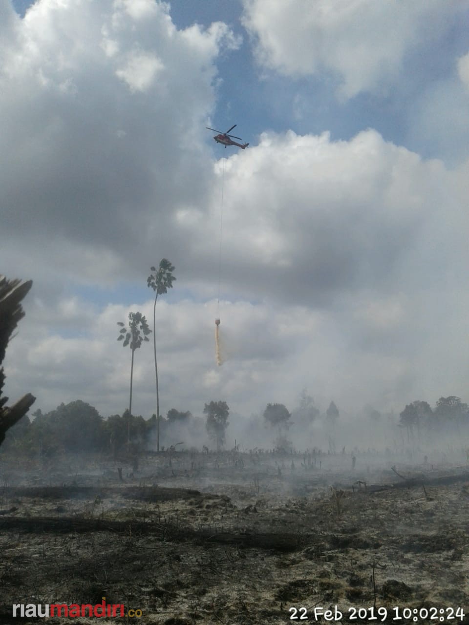 Heli Super Puma Sinar Mas Forestry Bantu Padamkan Karhutla di Bengkalis