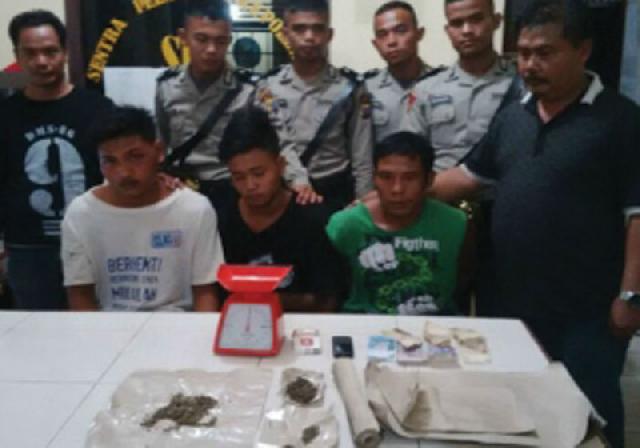 Polsek Mandau Gagalkan Peredaran 15 Kg Daun Ganja