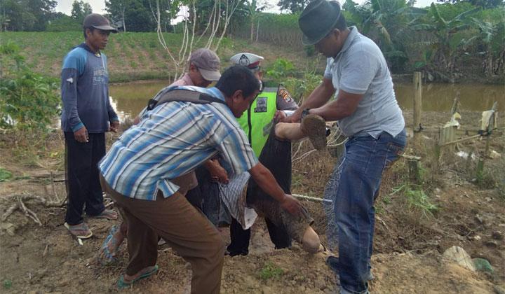 Polisi Periksa Lima Orang Saksi Terkait Bentrok Antarwarga di Mesuji